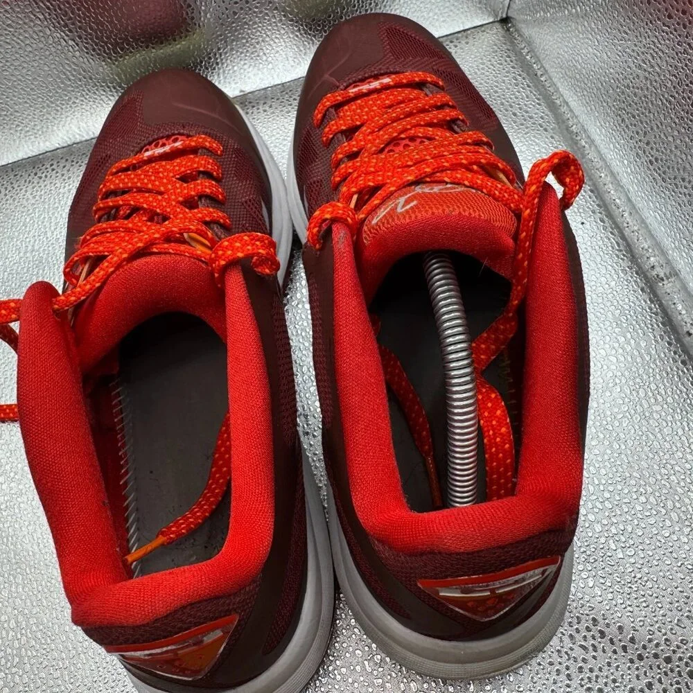 Nike lebron low